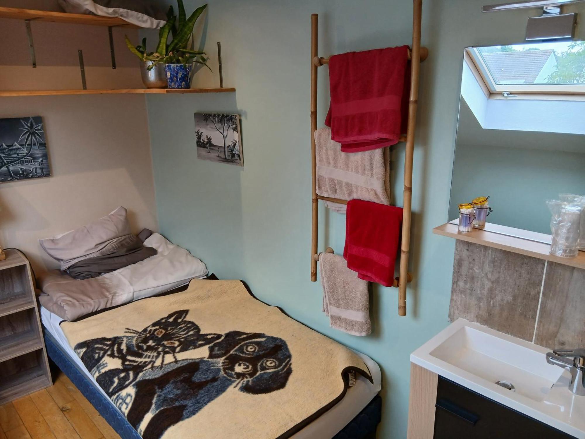 Chez Jpzen Nowicki Bed and Breakfast Freyming-Merlebach Εξωτερικό φωτογραφία